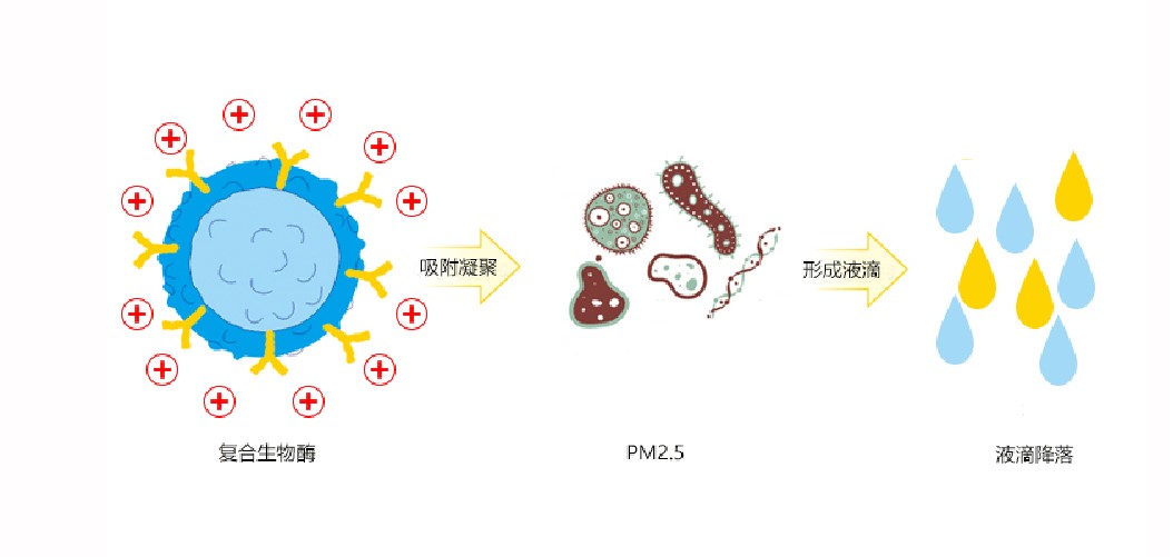 福賽生物科技PM2.5治理劑原理