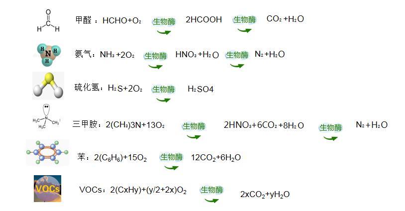 河北福賽生物酶除臭技術(shù)